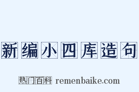 新编小四库造句是什么意思的图片